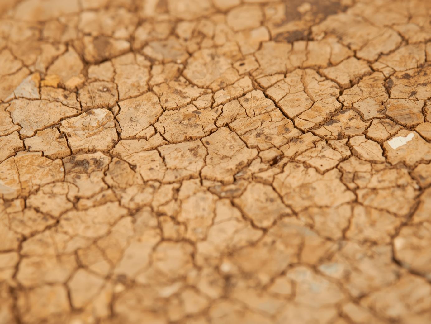 Cork furniture material detail